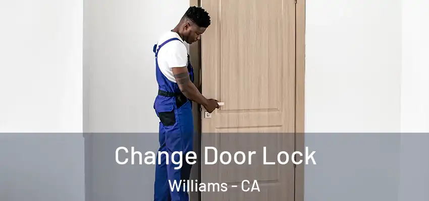  Change Door Lock Williams - CA