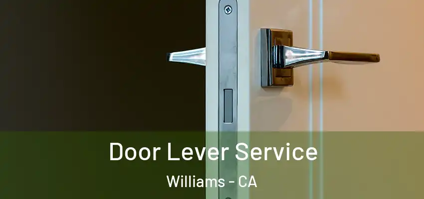  Door Lever Service Williams - CA