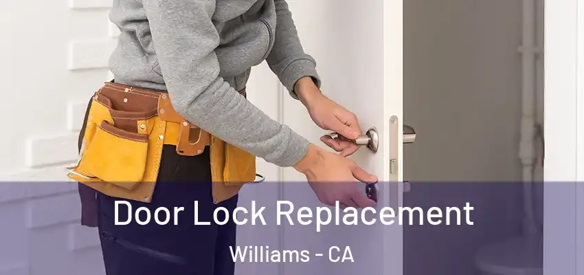  Door Lock Replacement Williams - CA