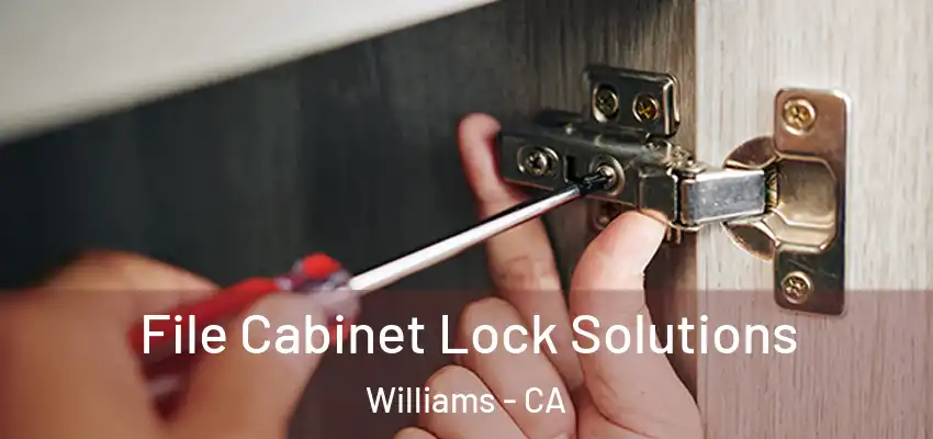  File Cabinet Lock Solutions Williams - CA