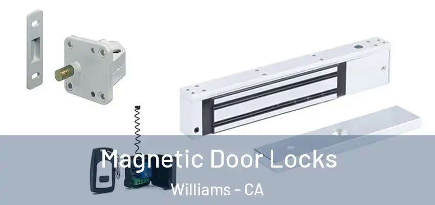  Magnetic Door Locks Williams - CA